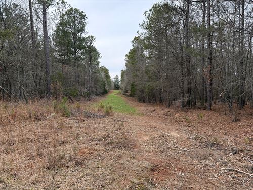 55-Acre Hunting Tract, Oglethorpe : Carlton : Oglethorpe County : Georgia