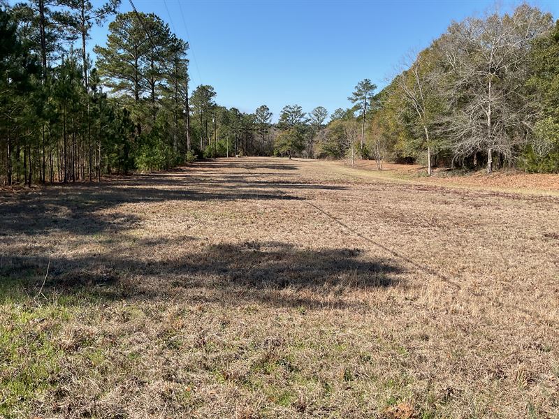 Point A Isle Road Lot, 5 Acres : Andalusia : Covington County : Alabama
