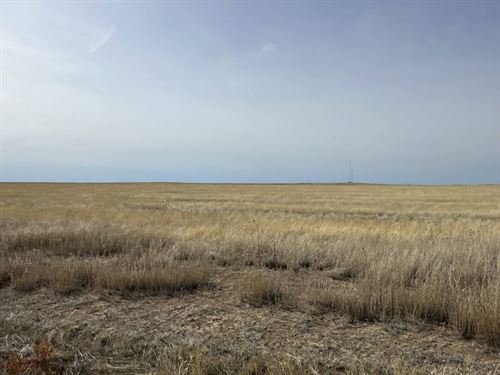 Kiowa County Crp Tract 6, 24013.1 : Haswell : Kiowa County : Colorado