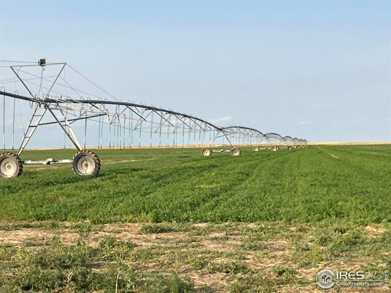 Kit Carson & Washington Irrigated : Cope : Washington County : Colorado