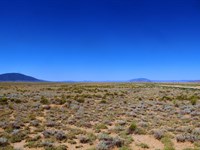 15 Acres Costilla CO : San Luis : Costilla County : Colorado