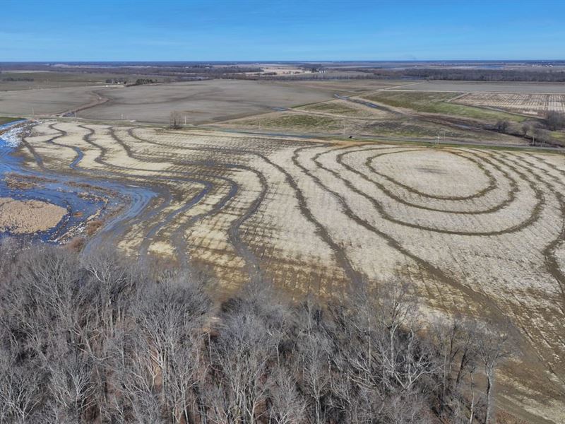 Self Farm 40 : Clarendon : Monroe County : Arkansas