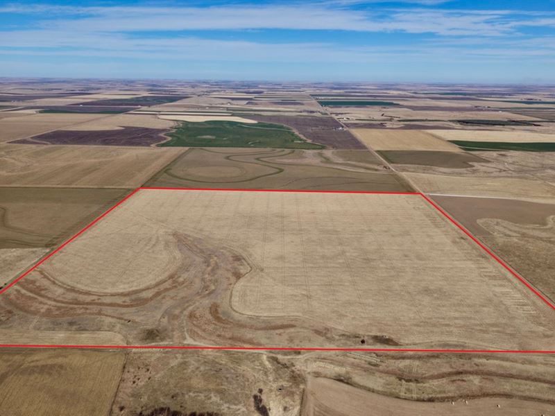 Voda Farm Quarter : Wakeeney : Trego County : Kansas