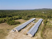 New Price, Wellington Breeder Farm : Wellington : Calhoun County : Alabama