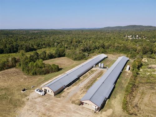 New Price, Wellington Breeder Farm : Wellington : Calhoun County : Alabama