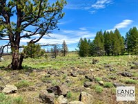 Seasonal Stream and Pond : Bly : Klamath County : Oregon