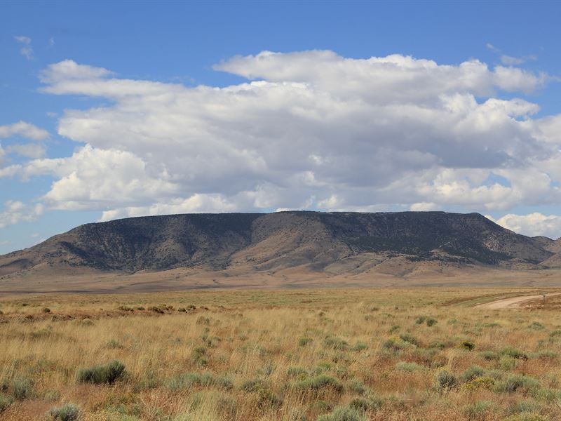 Rio Grande Co, Off-Grid, 5 Acres : San Acacio : Costilla County : Colorado