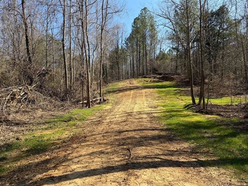 156 Acres Recreational/Timber : Gordo : Tuscaloosa County : Alabama