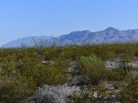 Majestic 10-Acre Northeast Corner : Presidio City : Presidio County : Texas