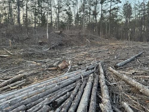 70.1 Acres in Yalobusha County, MS : Coffeeville : Yalobusha County : Mississippi