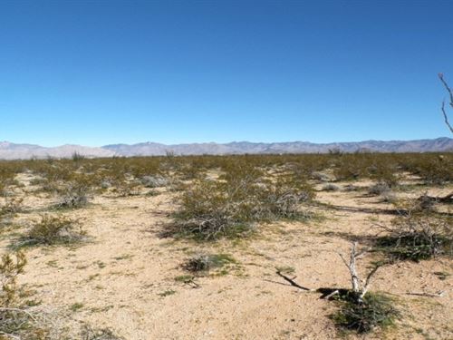 Your Off-Grid Freedom Starts Here : Yucca : Mohave County : Arizona