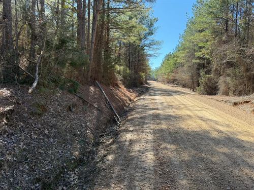 121 Acres in Attala County in McCoo : McCool : Attala County : Mississippi