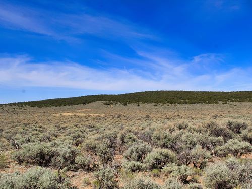 Now You Can Build Your Dream Home : Fort Garland : Costilla County : Colorado