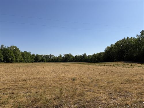 Land for Sale, 19 Acres, Tillable : Adamsville : McNairy County : Tennessee