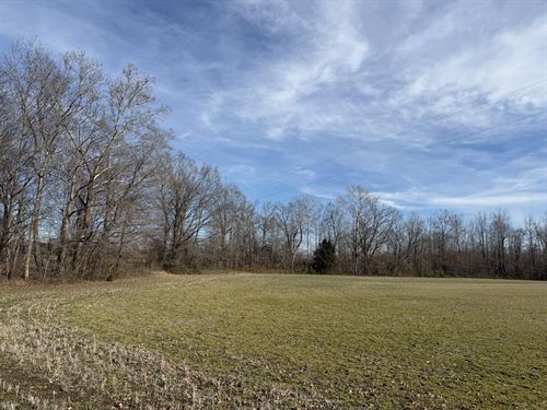 Land for Sale, 19 Acres, Tillable : Adamsville : McNairy County : Tennessee