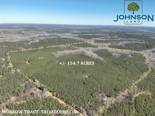 Morrow Tract : Crawfordville : Taliaferro County : Georgia