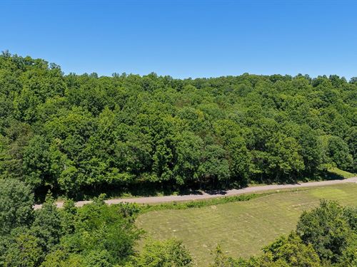 Mayberry Prong Tract : Linden : Perry County : Tennessee