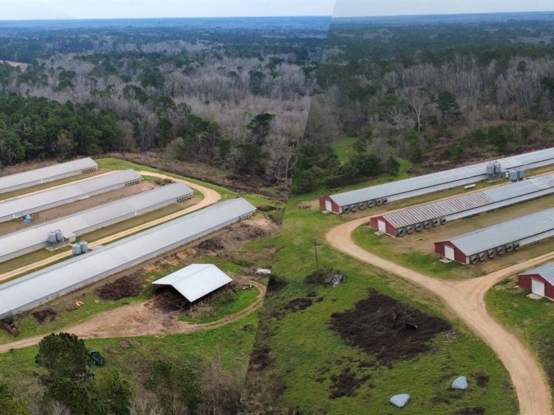 Tnt Broiler Farm : Summit : Amite County : Mississippi