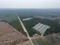 Broken Arrow Broiler Farm : Hartsville : Chesterfield County : South Carolina
