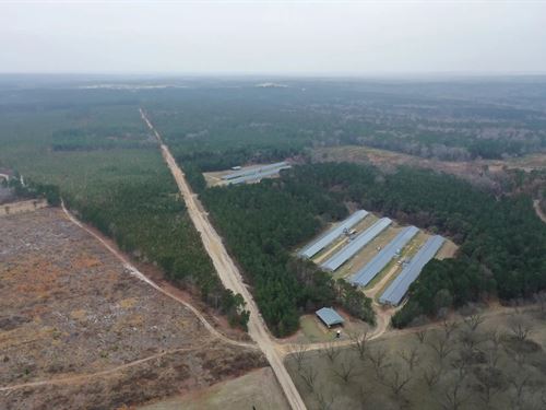 Broken Arrow Broiler Farm : Hartsville : Chesterfield County : South Carolina