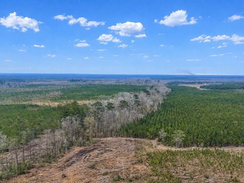 Altamaha Plantation : Glennville : Tattnall County : Georgia