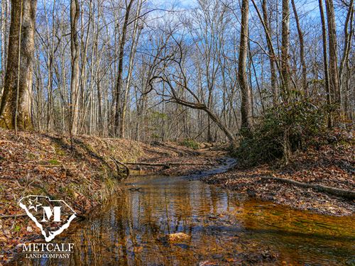 58.4 Acre Hardwood Tract : Blacksburg : Cherokee County : South Carolina
