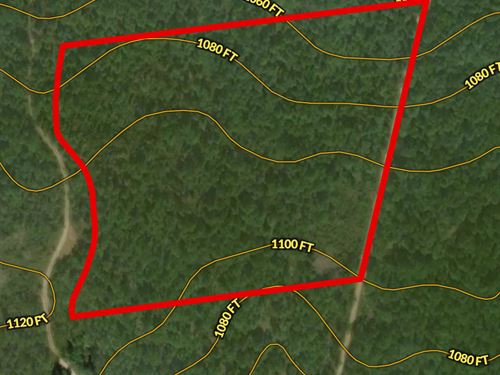 Wooded Land for Sale : Birch Tree : Shannon County : Missouri