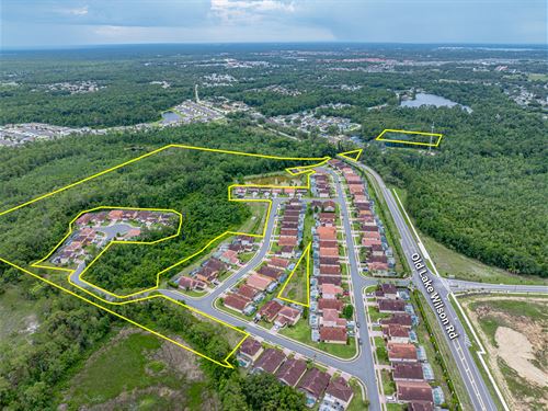 Lake Wilson Road Acreage : Davenport : Polk County : Florida