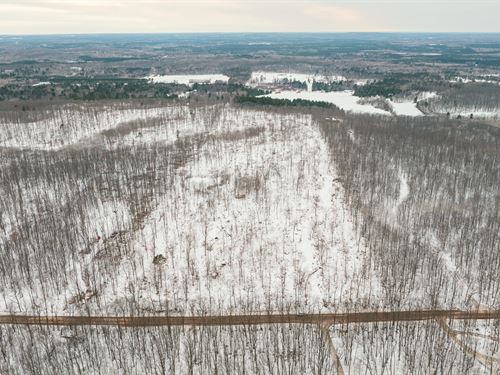 40 Acres Washburn County, WI : Springbrook : Washburn County : Wisconsin