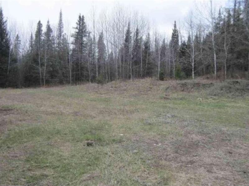 55 Private Acres : Crystal Falls : Iron County : Michigan