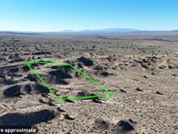 10 Acres in Central New Mexico : Bosque : Socorro County : New Mexico