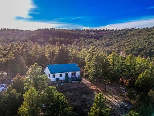 33280 Turkey Creek Lane, Trinidad : Trinidad : Las Animas County : Colorado