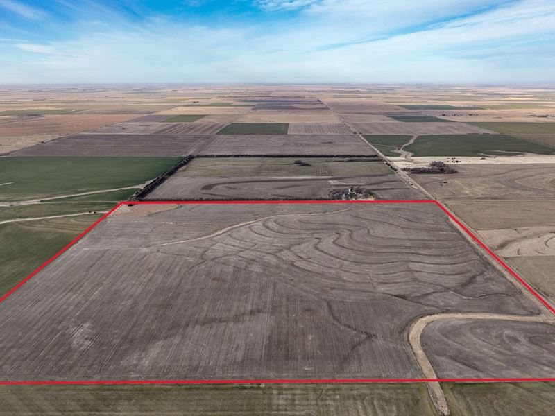 Pawnee County Cropland 157 : Garfield : Pawnee County : Kansas