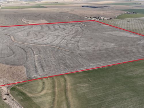 Pawnee County Cropland 155 : Garfield : Pawnee County : Kansas