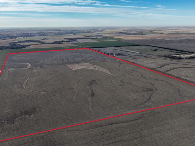 Pawnee County Cropland 312 : Garfield : Pawnee County : Kansas