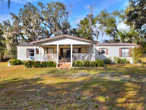 Antioch Oak Hammock Estate 8606 : Plant City : Hillsborough County : Florida