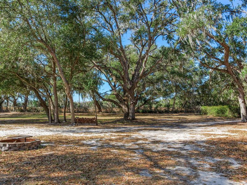 Antioch Oak Hammock Estate 8602 : Plant City : Hillsborough County : Florida