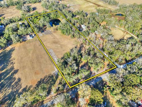 Antioch Oak Hammock Estate 8602 : Plant City : Hillsborough County : Florida