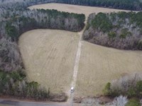 Duncan Chapel Tract : Bowman : Dorchester County : South Carolina