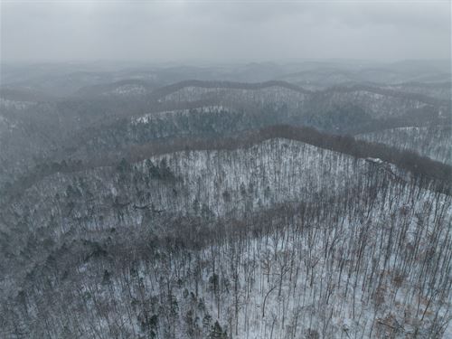 52 Acres in Wayne County WV : Dunlow : Wayne County : West Virginia