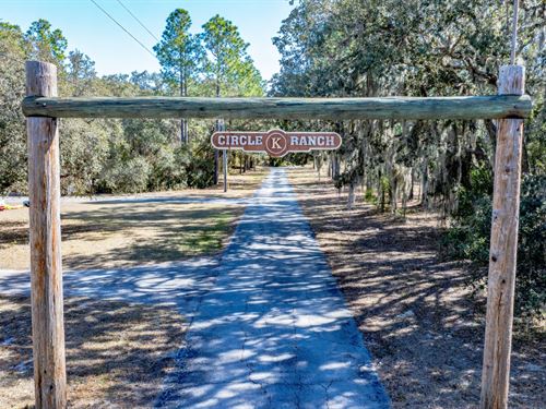 Hudson Spring Estate & Ranch : Hudson : Pasco County : Florida