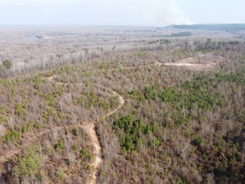 Gillon's Retreat : Saint Matthews : Calhoun County : South Carolina