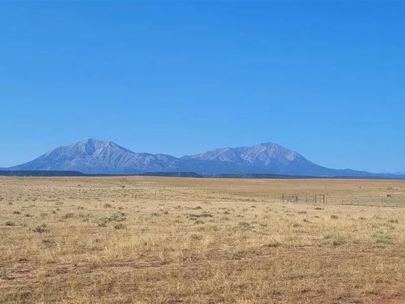 Lot 5 East Peak Ranches, Laveta : La Veta : Huerfano County : Colorado