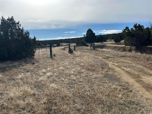 Lot 142A Silver Spurs Ranch, Walsen : Walsenburg : Huerfano County : Colorado