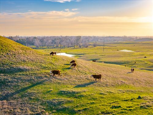 Butte Valley Springs : Oroville : Butte County : California