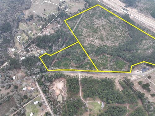 11 Acres, T-2, Union Springs Rd : Corrigan : Polk County : Texas