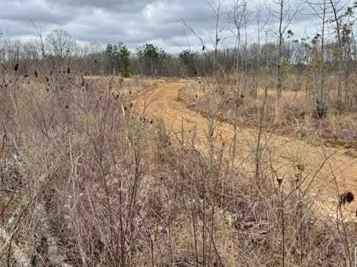 76 Acres in Webster County, MS : Mantee : Webster County : Mississippi