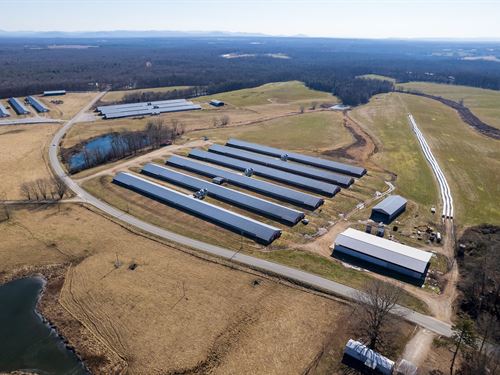 Bledsoe Broiler Farm : Jamestown : Fentress County : Tennessee
