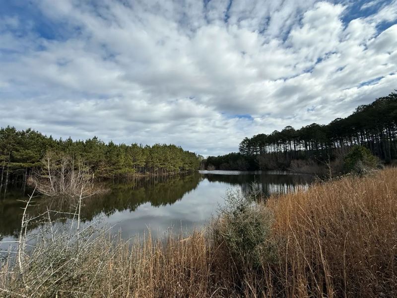 155 Acres in Jefferson Davis County : Carson : Jefferson Davis County : Mississippi