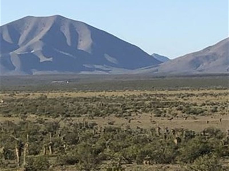 20 Acres Of Freedom in West Texas : Sierra Blanca : Hudspeth County : Texas